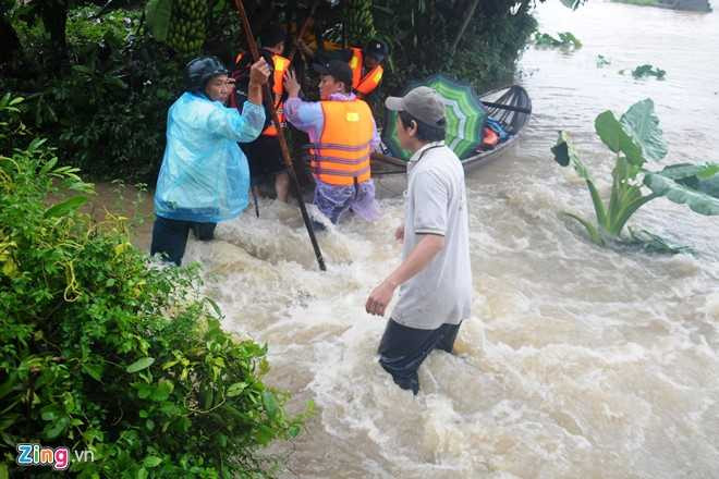 Dan Quang Ngai ganh hai tran lu trong mot ngay hinh anh 7