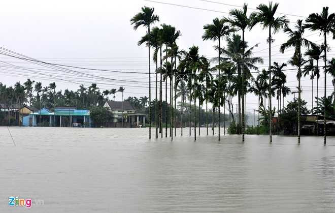 Hang nghin nha dan Quang Ngai ngap sau trong lu hinh anh 2