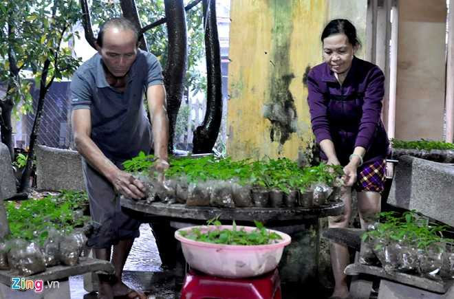 Hang nghin nha dan Quang Ngai ngap sau trong lu hinh anh 5