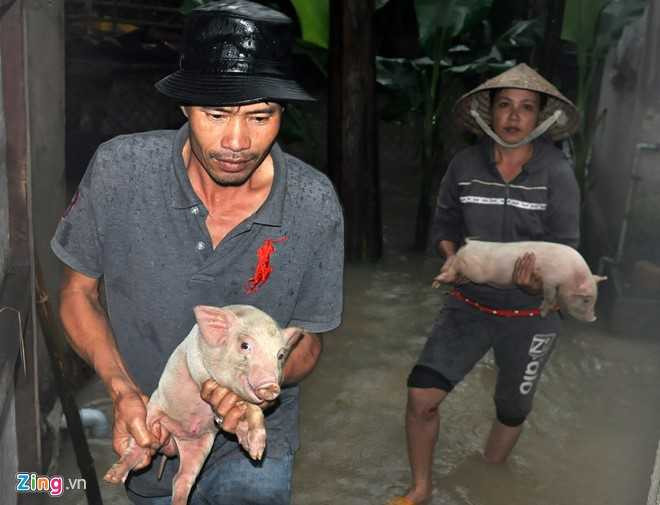 Hang nghin nha dan Quang Ngai ngap sau trong lu hinh anh 7