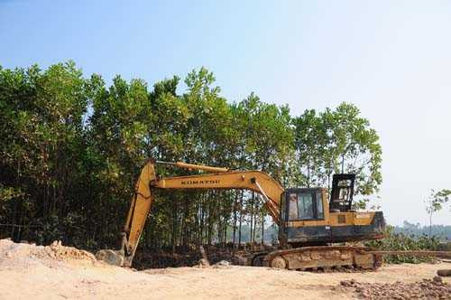 can canh khu dat gan san bay noi bai bi muc trom hinh anh 10