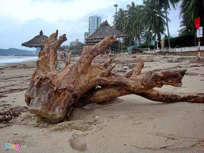 Bai bien dep nhat the gioi xac xo sau lu hinh anh 8