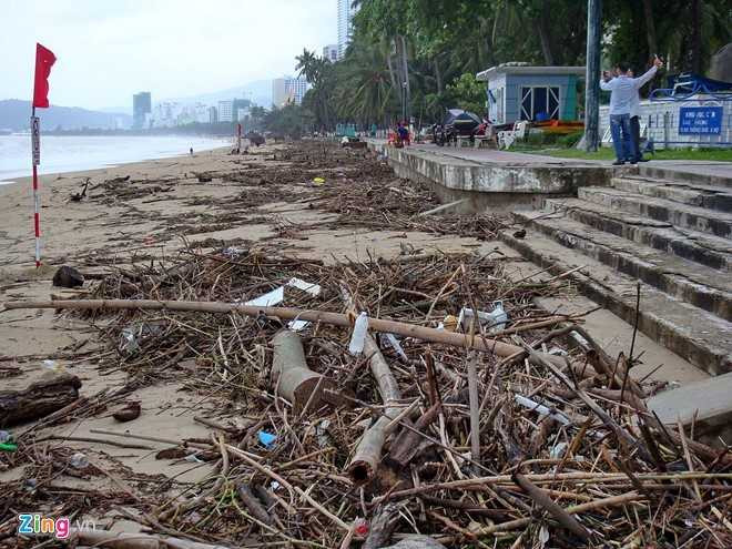 Bai bien dep nhat the gioi xac xo sau lu hinh anh 4