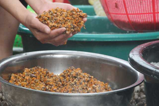 img-1040-1482219068062