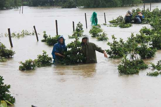 1480653653-14806529169765