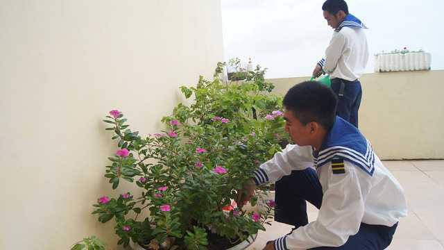 Cắt tỉa cây cảnh, chuẩn bị đón Tết