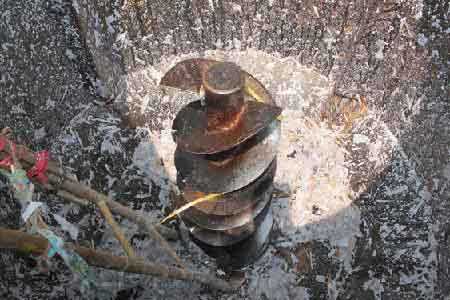 images883270_chettrongcoixaybot2