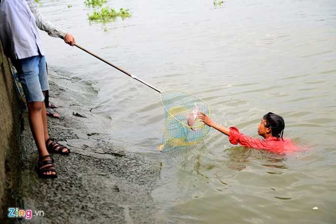 Boi nhay bat ca chep Tao quan tren song Sai Gon hinh anh 5