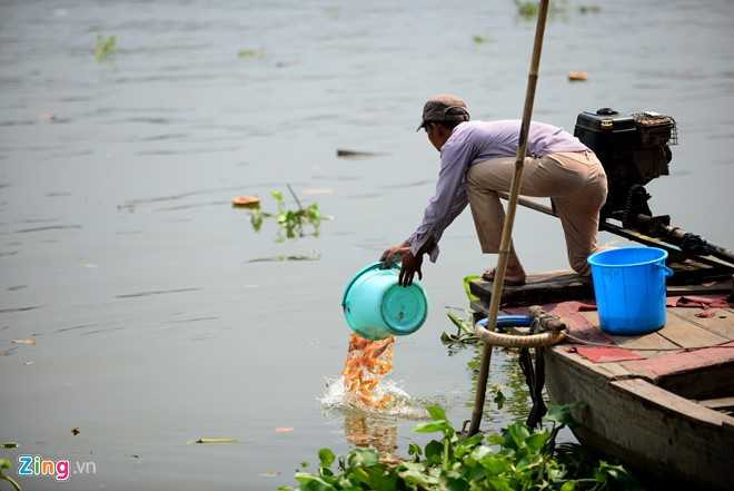 Boi nhay bat ca chep Tao quan tren song Sai Gon hinh anh 1