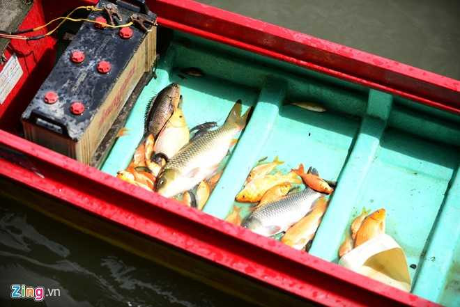 Boi nhay bat ca chep Tao quan tren song Sai Gon hinh anh 8