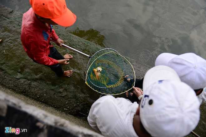 Boi nhay bat ca chep Tao quan tren song Sai Gon hinh anh 7