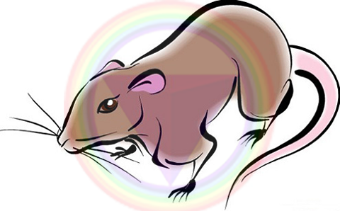 tu-vi-2017-nguoi-tuoi-ti