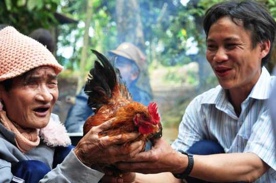 Hai cha con ông Hồ Văn Thanh và Hồ Văn Lang bắt gà chuẩn bị ăn Tết. Ảnh: Tử Trực