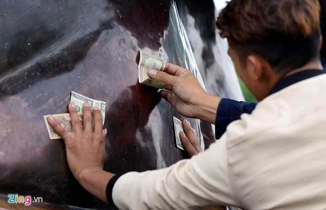 Hinh anh xau xi, phan cam ngap chua Bai Dinh dau nam moi hinh anh 10