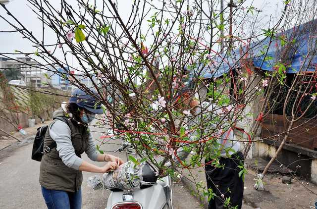  Sau một hồi chọn lựa, chị Nguyễn Thùy Linh (ở Ngụy Như Kon Tum, Hà Nội) cũng chọn được một cành đào rừng khá ưng ý. Chị Linh cho biết, hầu như năm nào sau Tết Nguyên Đán chị cũng ra chợ lựa đào về cắm như một cách để níu giữ nét xuân trong nhà. 