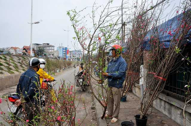  Không khí mua bán khá tấp nập tại chợ Quảng An những ngày đầu năm mới. 