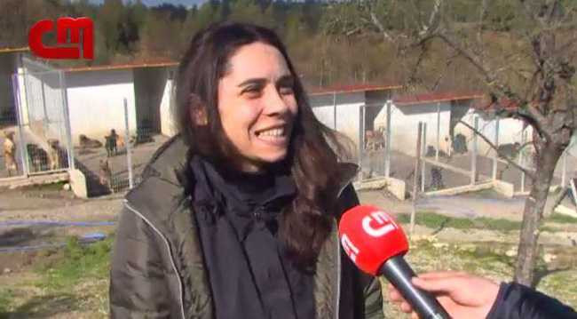 Ronaldo ra tay nghĩa hiệp, cứu nguy cho 80 chú chó - Ảnh 3.