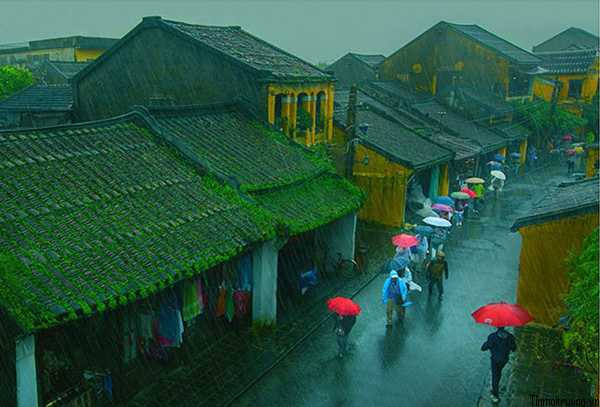 12 trong_mua -tinmoitruong