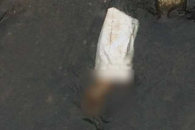 thi-the-trong-bao-tai-1486682808439-0840470