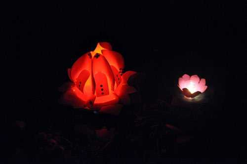 hoa dang ruc sang tren song sai gon dem ram thang gieng hinh anh 10