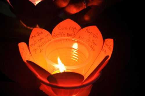 hoa dang ruc sang tren song sai gon dem ram thang gieng hinh anh 3