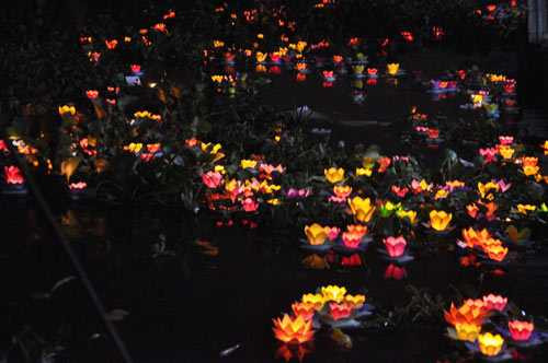 hoa dang ruc sang tren song sai gon dem ram thang gieng hinh anh 11