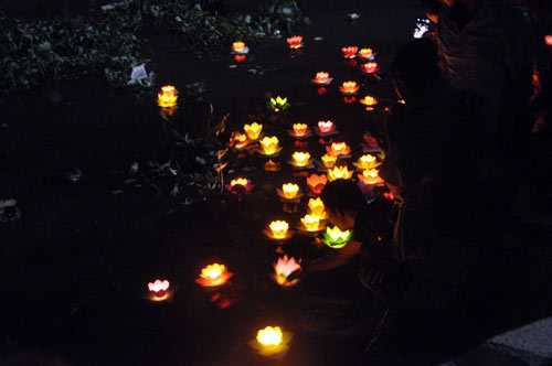 hoa dang ruc sang tren song sai gon dem ram thang gieng hinh anh 8