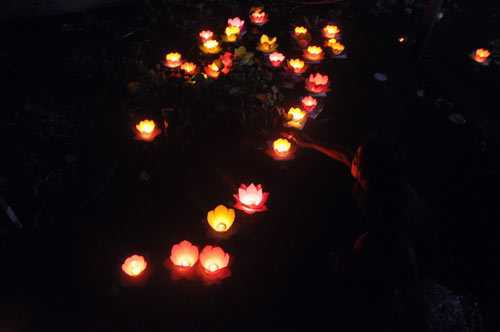 hoa dang ruc sang tren song sai gon dem ram thang gieng hinh anh 7