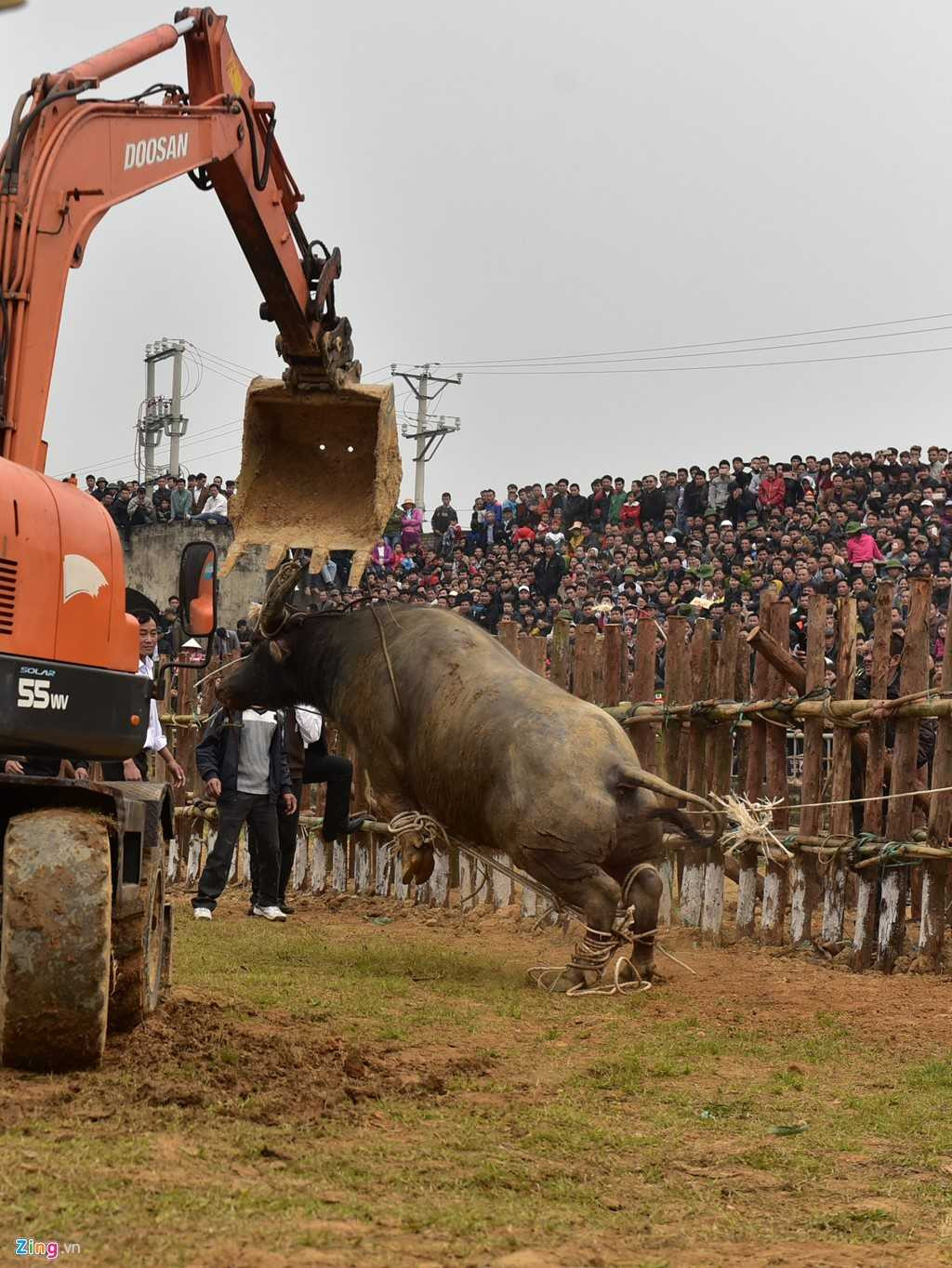 Dung may xuc keo 'ong Cau' thua tran ra khoi hoi choi trau hinh anh 13
