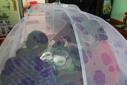 dan-mac-man-an-com-vi-ruoi-nhieu-bat-thuong-o-lang-son