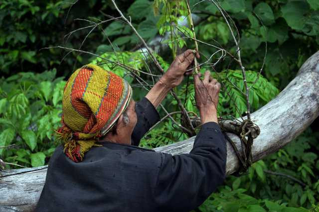  Ông lão sống theo kiểu tự cung tự cấp và rất ít khi tiếp xúc với thế giới bên ngoài. Thi thoảng ông mới gặp những người đi rừng chứ không xuống dưới làng. Khoảng nửa năm một lần, cháu ông từ làng lên tiếp tế bột ngọt, mắm, muối và quần áo cho ông một lần. 