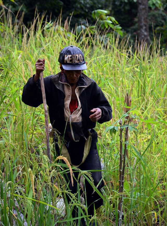  Năm 1997, người đàn ông này đã rời bỏ bản làng để vào rừng lập chòi sinh sống do không chịu được sự ồn ào và đông đúc. 