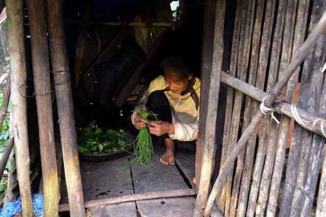  Rau xanh là thực phẩm chính ông lão ăn hằng ngày, bên cạnh đó ông cũng tự tạo một số loại bẫy nhỏ để bắt thú rừng (chuột, sóc, chim…) cải thiện bữa ăn. 