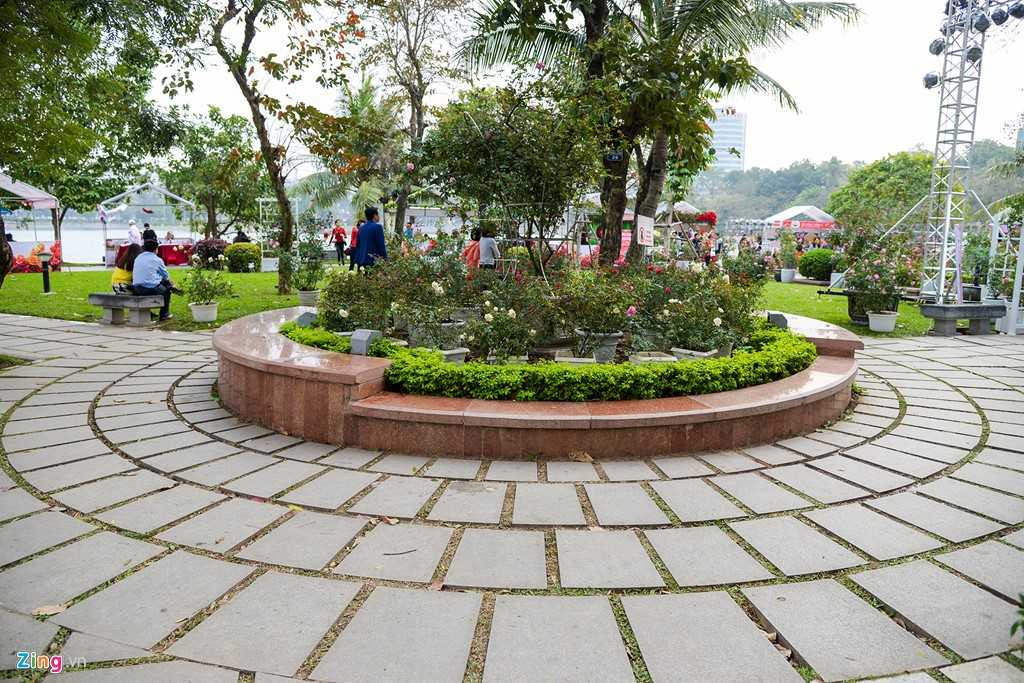 Le hoi hoa hong Bulgaria e khach, ve cho den giam gia hinh anh 8