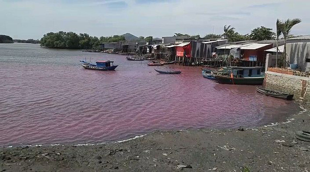 Hàng trăm hộ dân quanh hồ đã chịu cảnh ô nhiễm, hôi thối nhiều năm nay