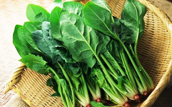 rau cải, cải bó xôi, bổ sung canxi, sữa tươi