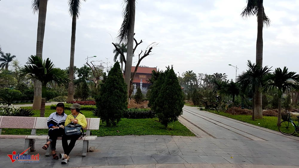 di dời cây cổ thụ, cây cổ thụ trăm tuổi, công viên thành phố Thái Bình