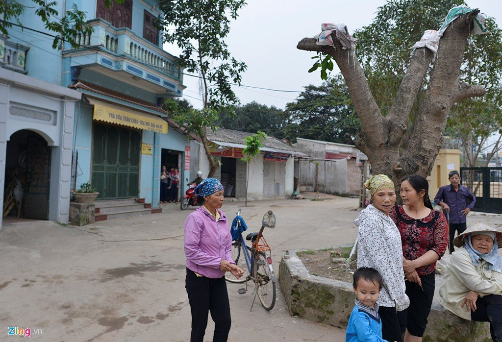 Trong lai cay ngay cho vua chat de lam dep via he hinh anh 6