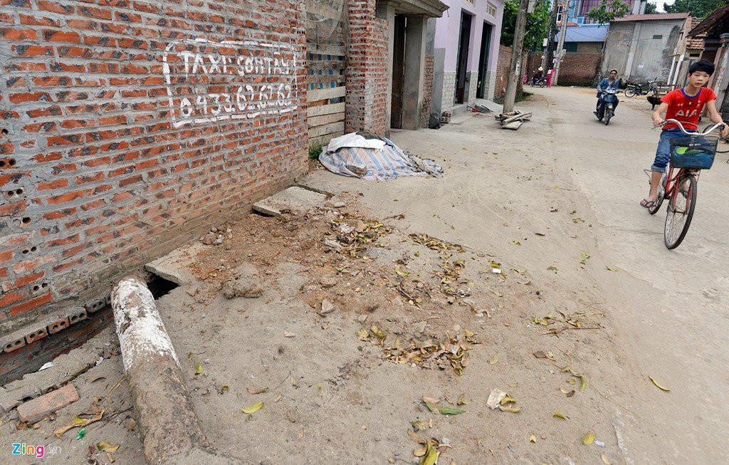 Trong lai cay ngay cho vua chat de lam dep via he hinh anh 14