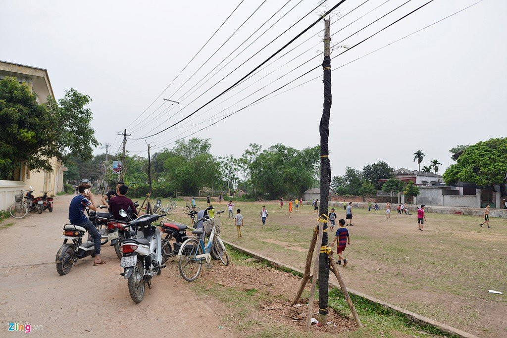 Trong lai cay ngay cho vua chat de lam dep via he hinh anh 15