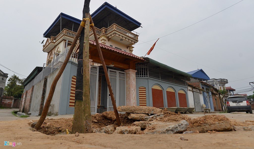 Trong lai cay ngay cho vua chat de lam dep via he hinh anh 2