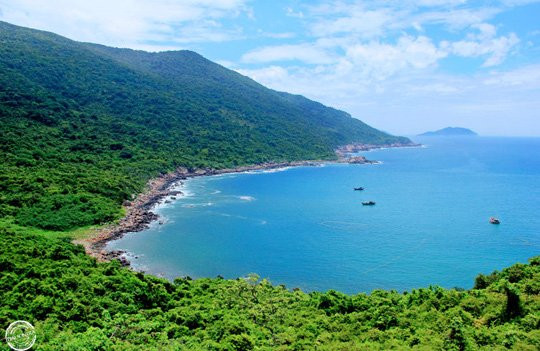 Nếu không bảo vệ Sơn Trà thì hình ảnh xanh đẹp này có nguy cơ biến mất