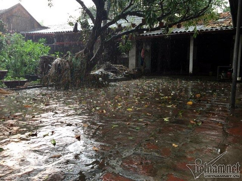 mưa đá ở hà nội, hiện tượng mưa đá, thời tiết ở hà nội, mưa đá, mưa lớn ở hà nội, mưa lớn tại hà nội, mưa đá ở hà nội, thời tiết hà nội, tin thoi tiet ha noi, tin tuc trong ngay, tin mới, tin nhanh 24h, tin tức mới nhất, tin hà nội, báo điện tử, báo vtc news, vtc, vtc.vn - 5