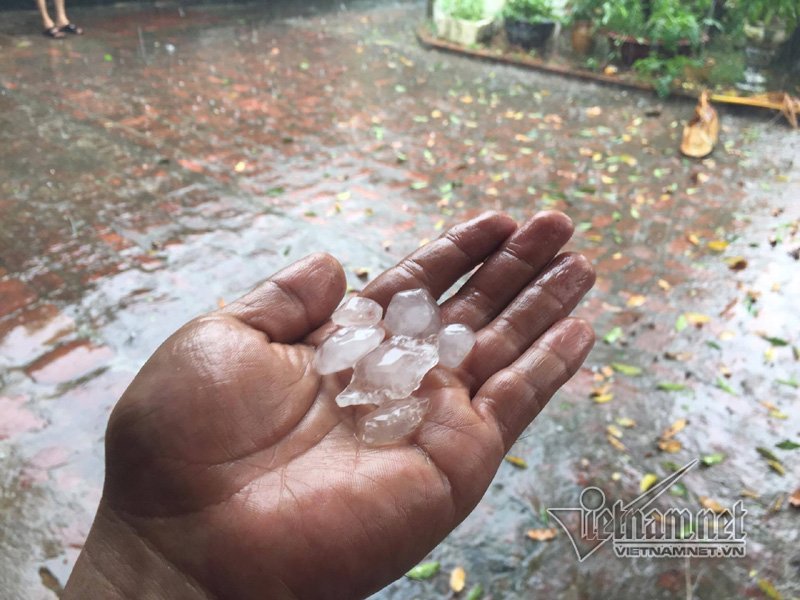 mưa đá ở hà nội, hiện tượng mưa đá, thời tiết ở hà nội, mưa đá, mưa lớn ở hà nội, mưa lớn tại hà nội, mưa đá ở hà nội, thời tiết hà nội, tin thoi tiet ha noi, tin tuc trong ngay, tin mới, tin nhanh 24h, tin tức mới nhất, tin hà nội, báo điện tử, báo vtc news, vtc, vtc.vn - 4