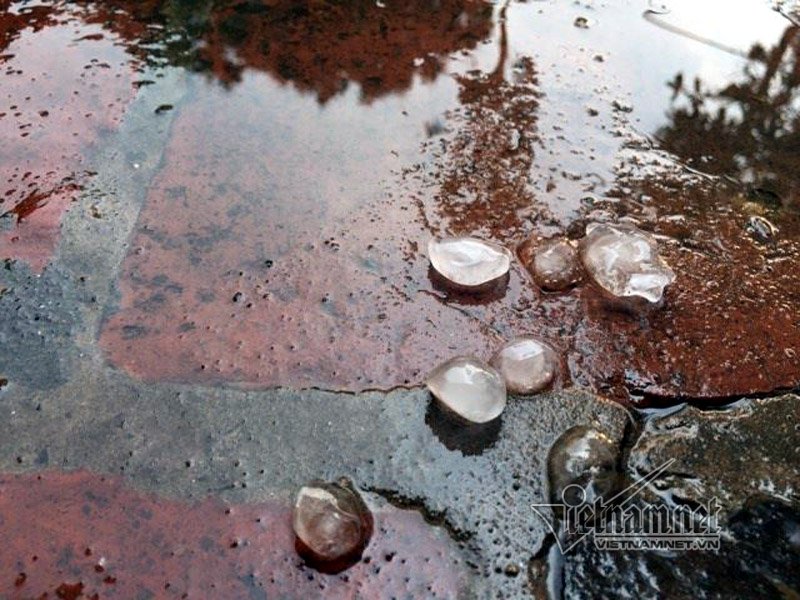 mưa đá ở hà nội, hiện tượng mưa đá, thời tiết ở hà nội, mưa đá, mưa lớn ở hà nội, mưa lớn tại hà nội, mưa đá ở hà nội, thời tiết hà nội, tin thoi tiet ha noi, tin tuc trong ngay, tin mới, tin nhanh 24h, tin tức mới nhất, tin hà nội, báo điện tử, báo vtc news, vtc, vtc.vn - 3