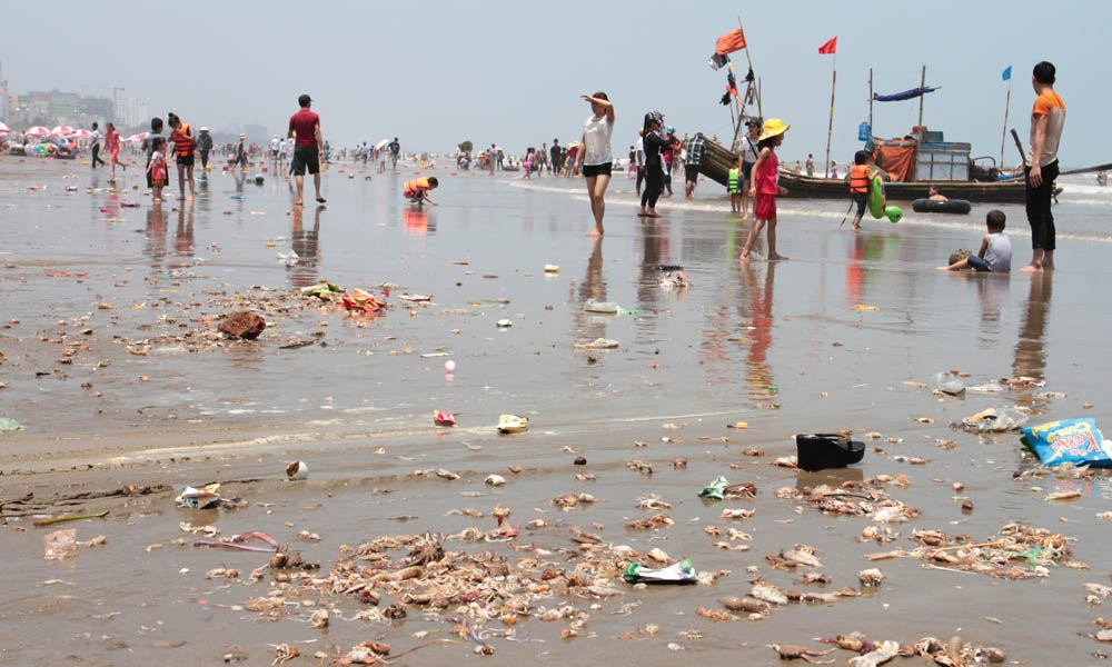 nghỉ lễ 30/4, biển Sầm Sơn, tắm biển, cá chết, Sầm Sơn