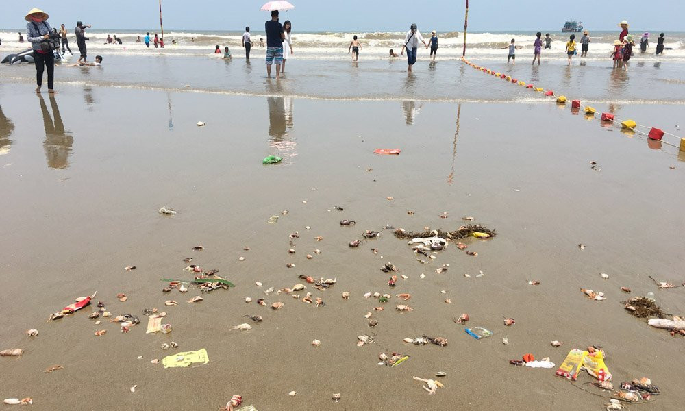 nghỉ lễ 30/4, biển Sầm Sơn, tắm biển, cá chết, Sầm Sơn