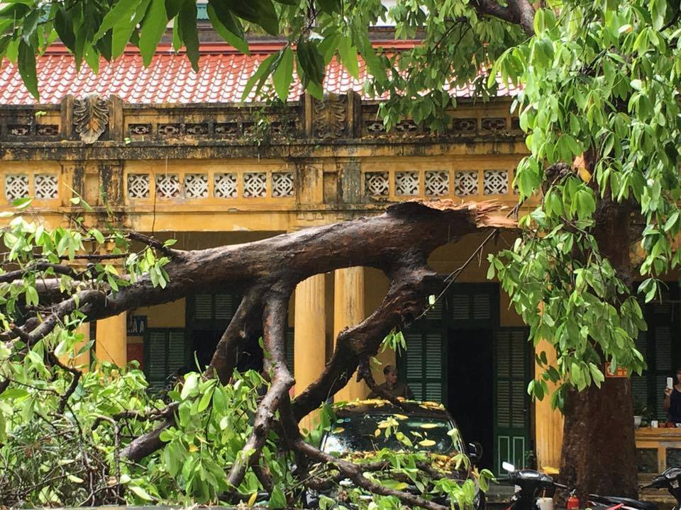 Hinh anh 13