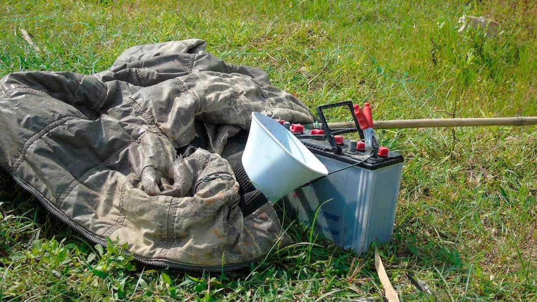 tận diệt chim trời, săn bắt chim, đánh bẫy, chim thui