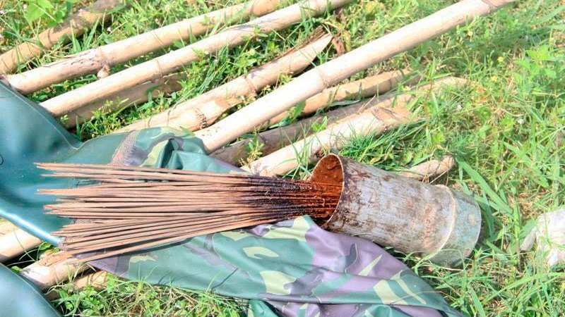 tận diệt chim trời, săn bắt chim, đánh bẫy, chim thui